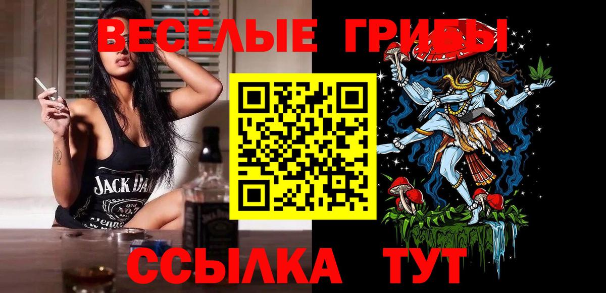 Галлюциногенные грибы Psilocybine cubensis Борзя