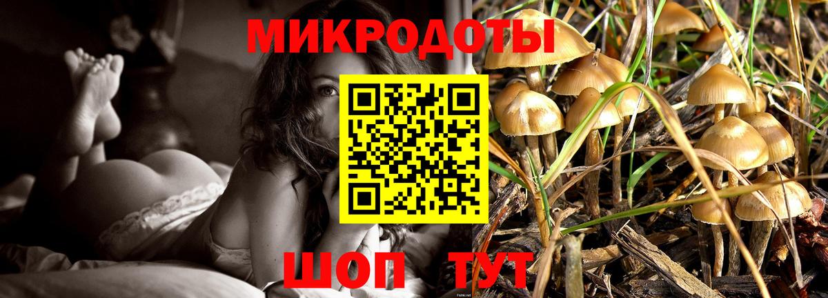 Борзя  Галлюциногенные грибы Cubensis  Вход с VPN  Псилоцибиновые грибы ЛСД 